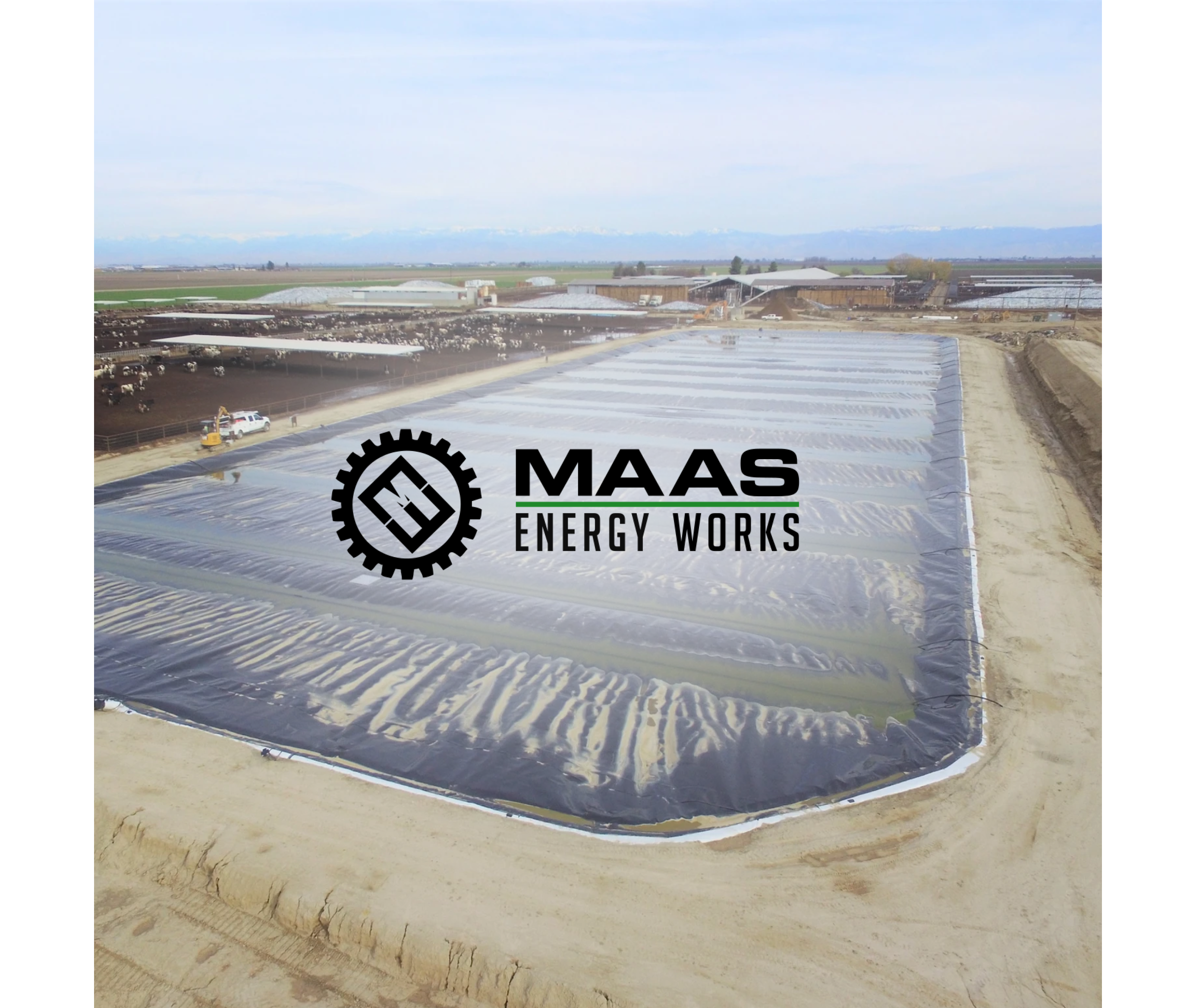 MAAS